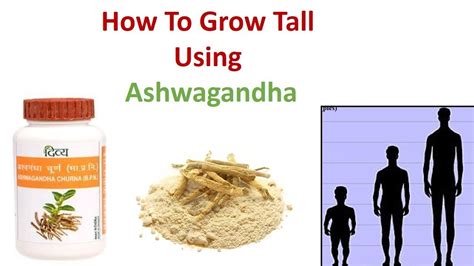 Ashwagandha For Height Increase: What Science .